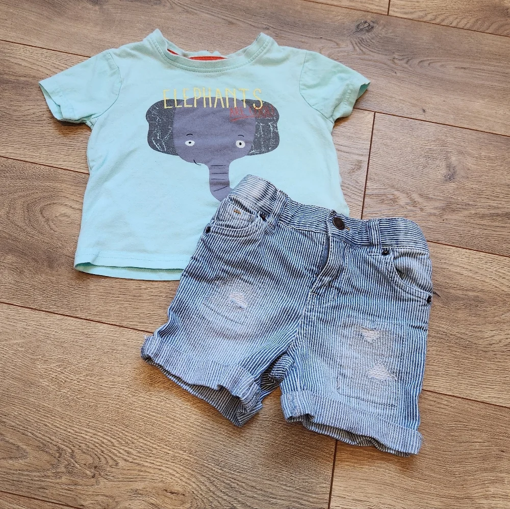 Elephant Graphic Tee and Striped Shorts Set